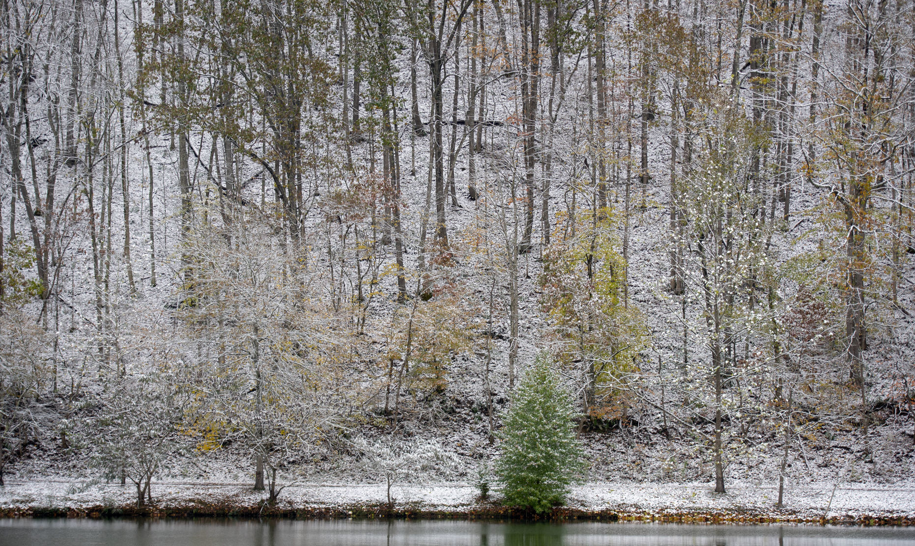 Tuesday Snow 01